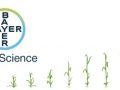 Bayer Crop Science