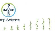 Bayer Crop Science