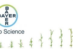 Bayer Crop Science